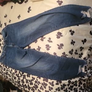 Bridge by Gly Women's Curvy Ultra High Rise Ankle Skinny Jean